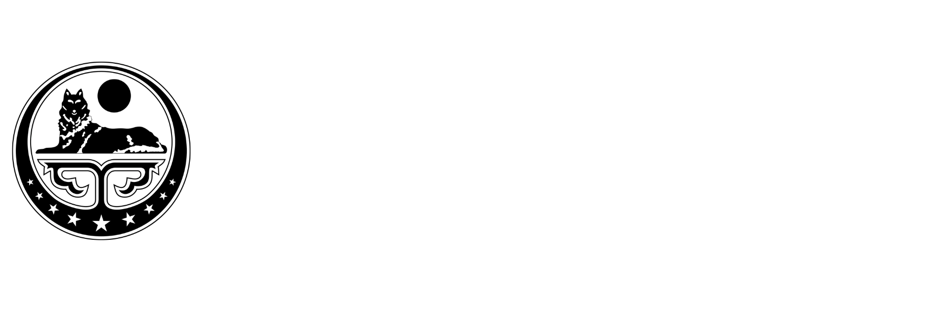 Chechen Government